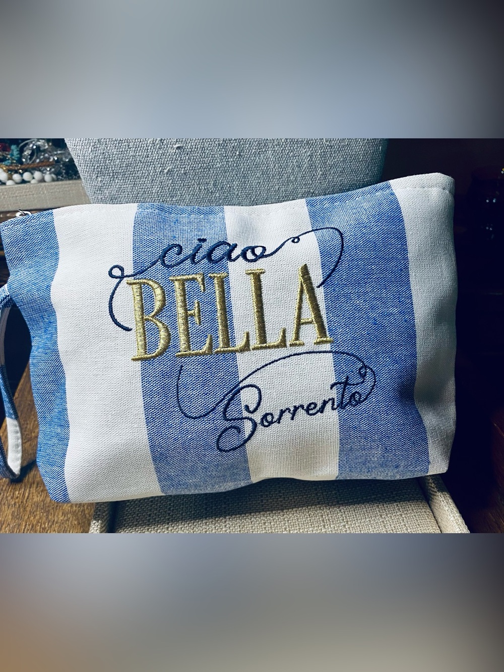 Bella Striped Wristlet Pouch - NWOT